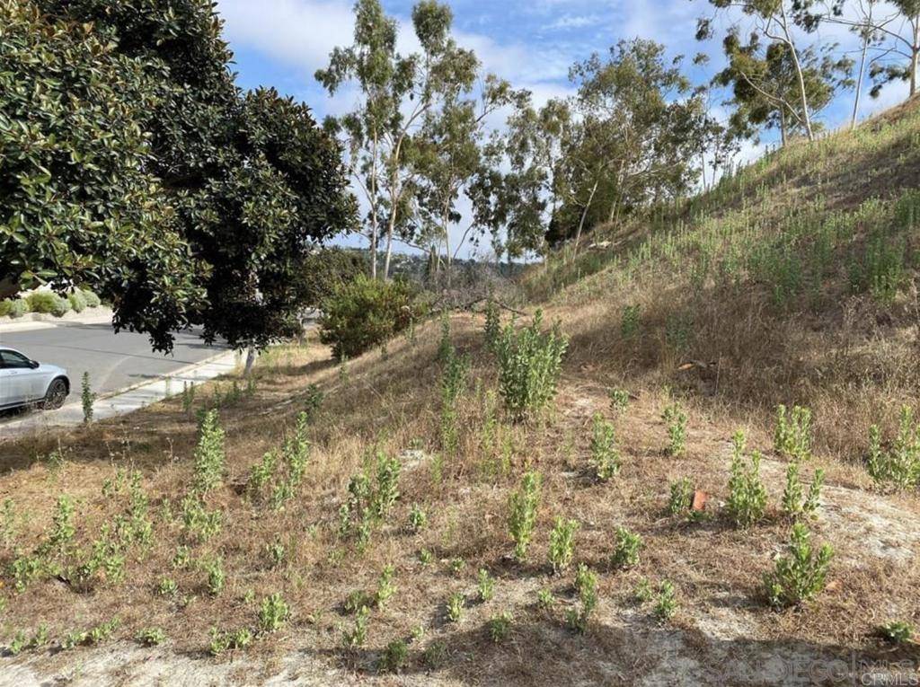 Oceanside, CA 92056,1702 Havenwood DR