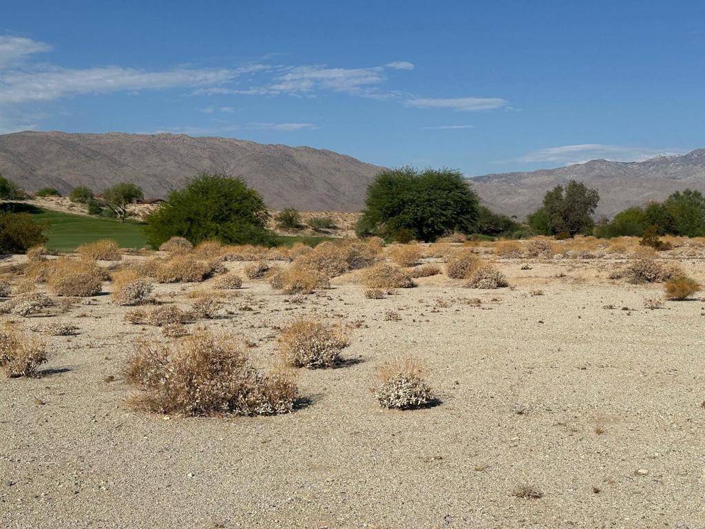 Borrego Springs, CA 92004,0 Roadrunner DR