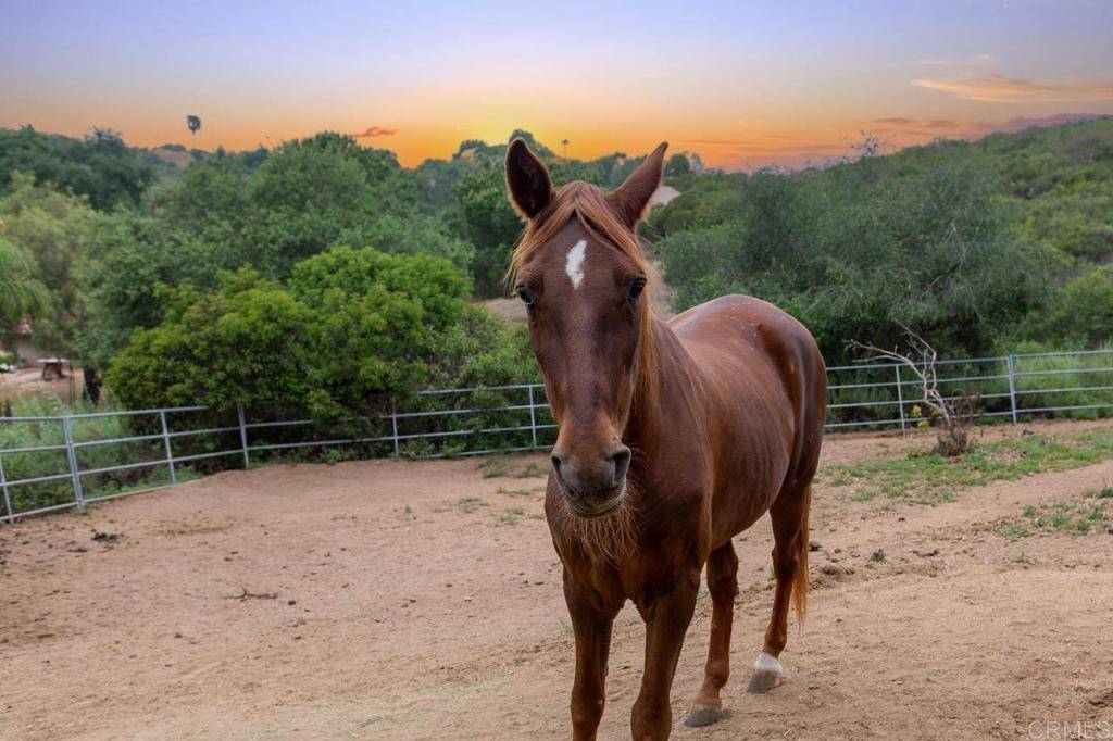 Ramona, CA 92065,16526 GREEN VALLEY TRUCK TRAIL