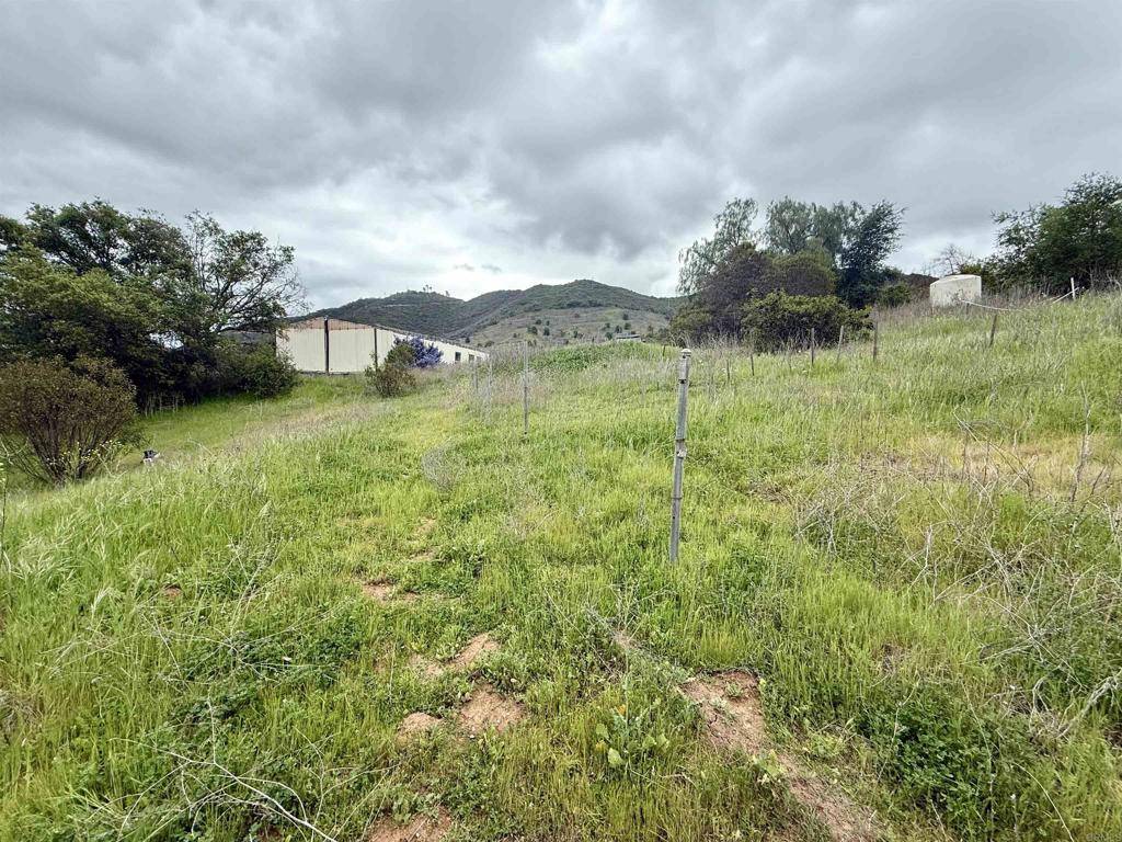 Fallbrook, CA 92028,0 Alex RD