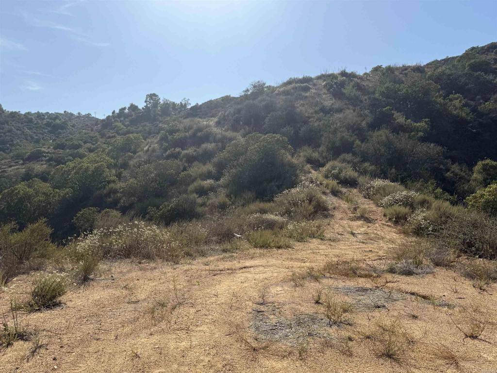 Fallbrook, CA 92028,9932 Gomez Creek RD