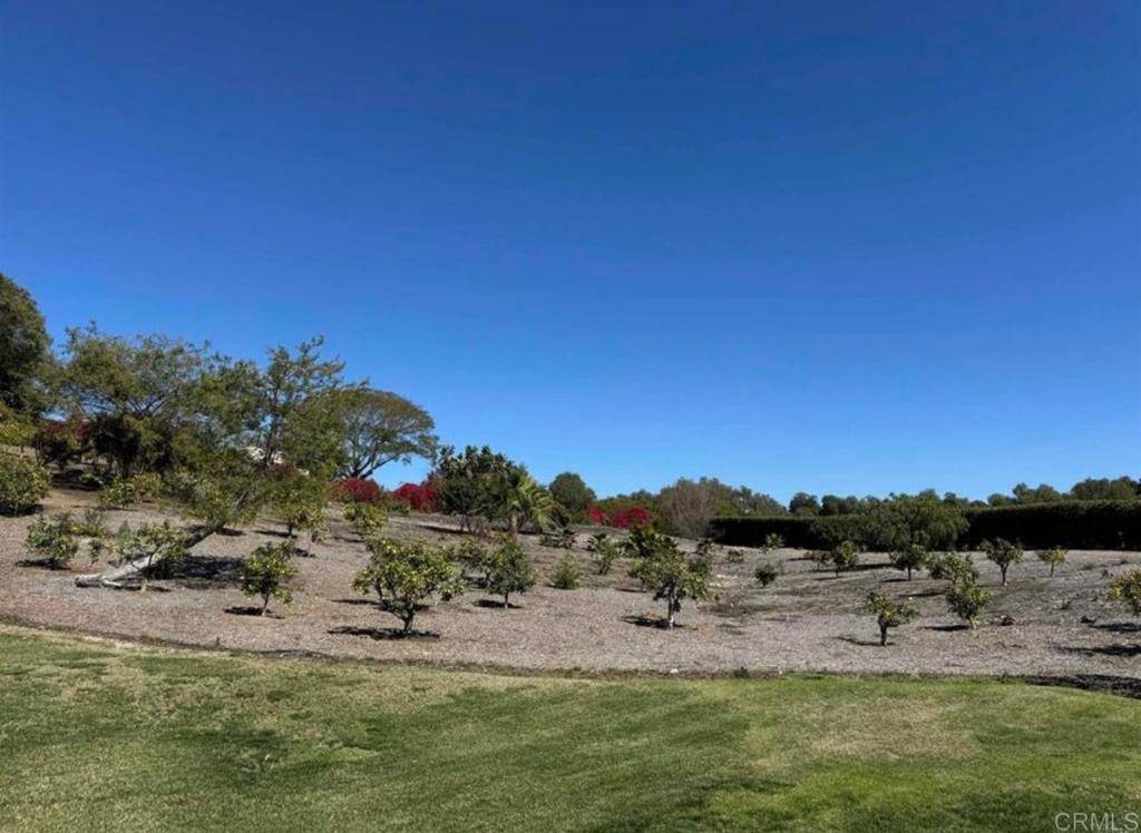 Rancho Santa Fe, CA 92067,18220 Via De Fortuna