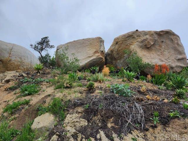 Escondido, CA 92026,W Meadow Glen WAY