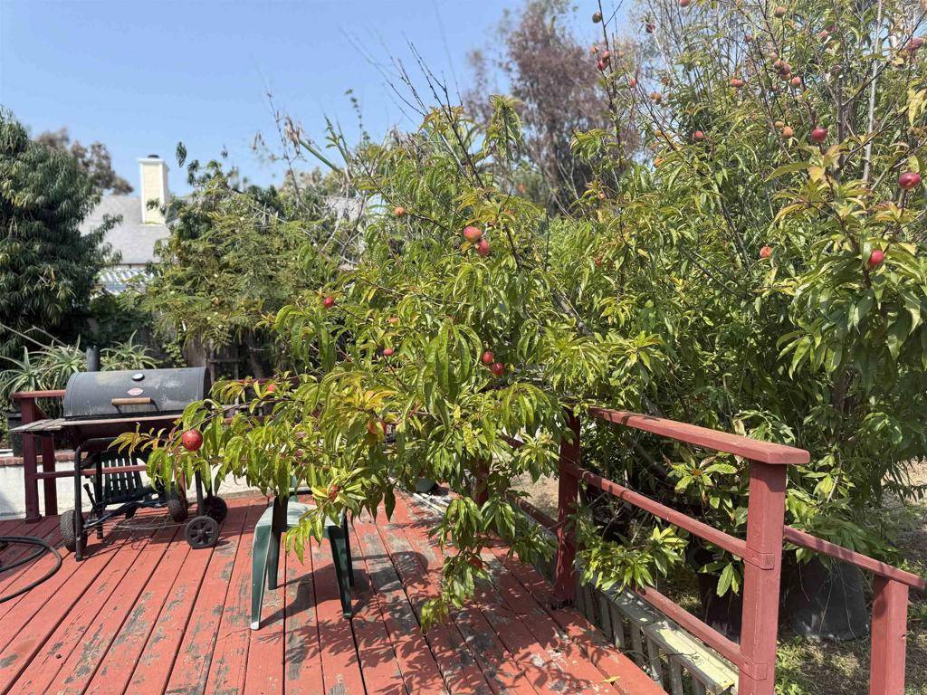 Oceanside, CA 92056,1826 Via Cuarto