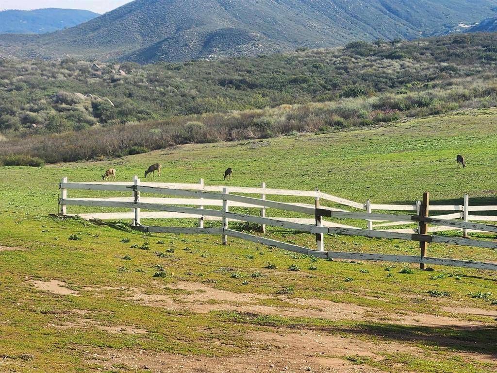 Ramona, CA 92065,23003 Arjo LN