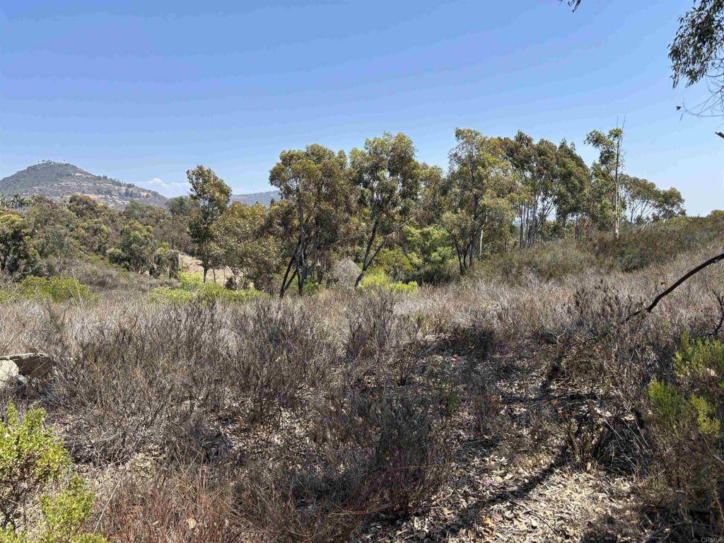 Encinitas, CA 92024,0 Lone Hill LN