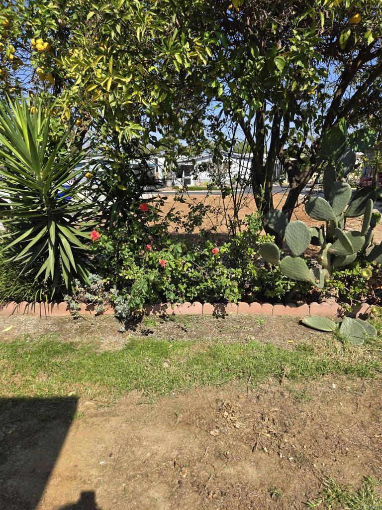 San Marcos, CA 92078,1219 E Barham DR