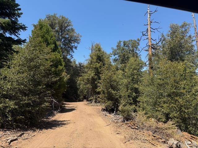 Palomar Mountain, CA 92060,20 Acres Fry Creek RD