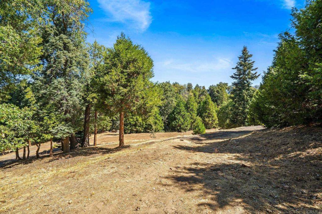 Palomar Mountain, CA 92060,22520 Greenfield