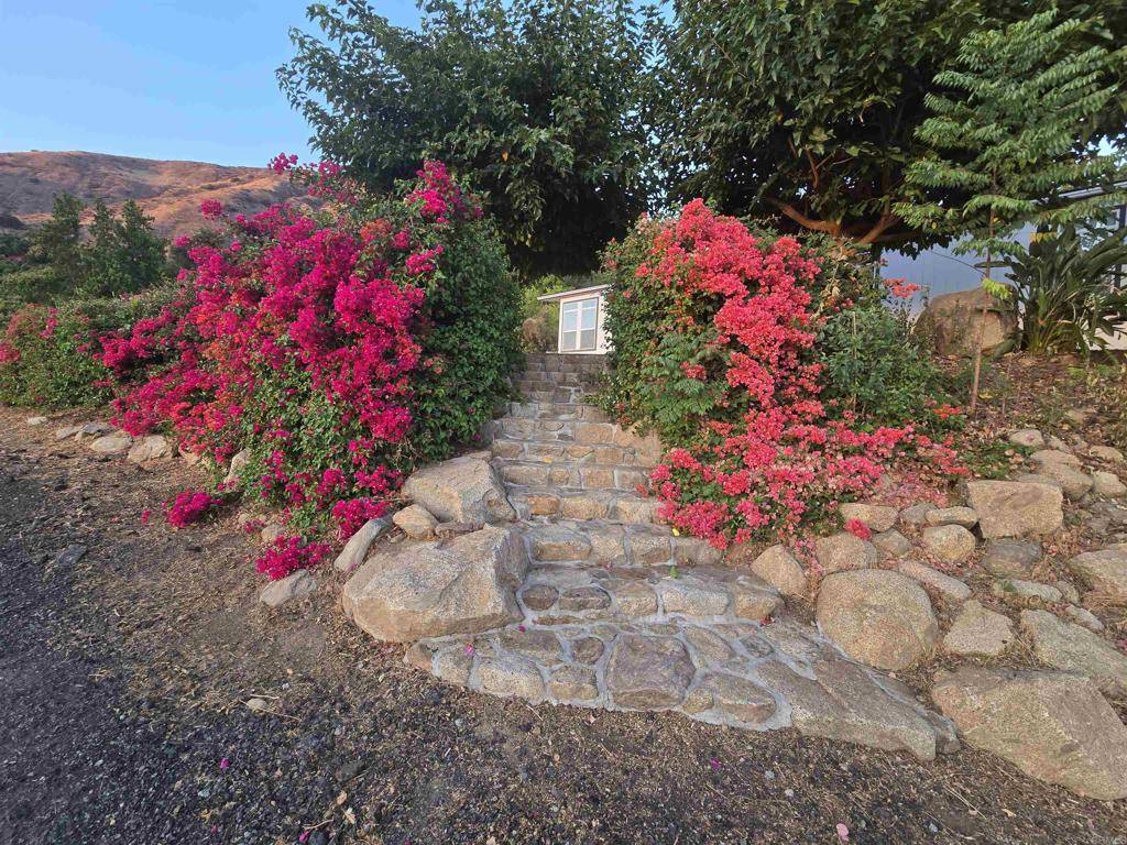 Pauma Valley, CA 92061,15325 Adams DR