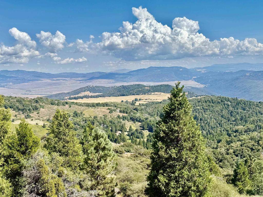 Palomar Mountain, CA 92060,32771 Birch Hill RD