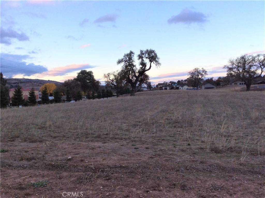 Templeton, CA 93465,1320 Lot 9 Fire Rock Loop