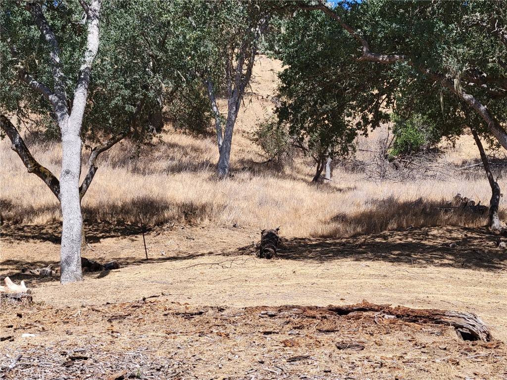 Bradley, CA 93426,2603 Captains WALK