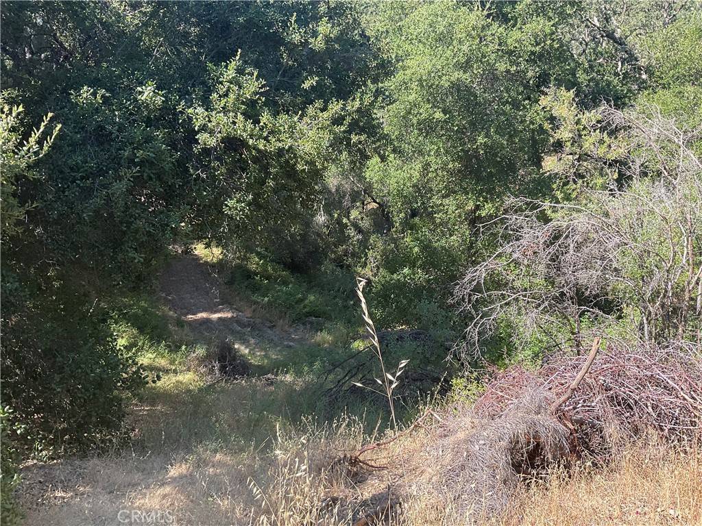 Bradley, CA 93426,0 Bryson-Hesperia RD