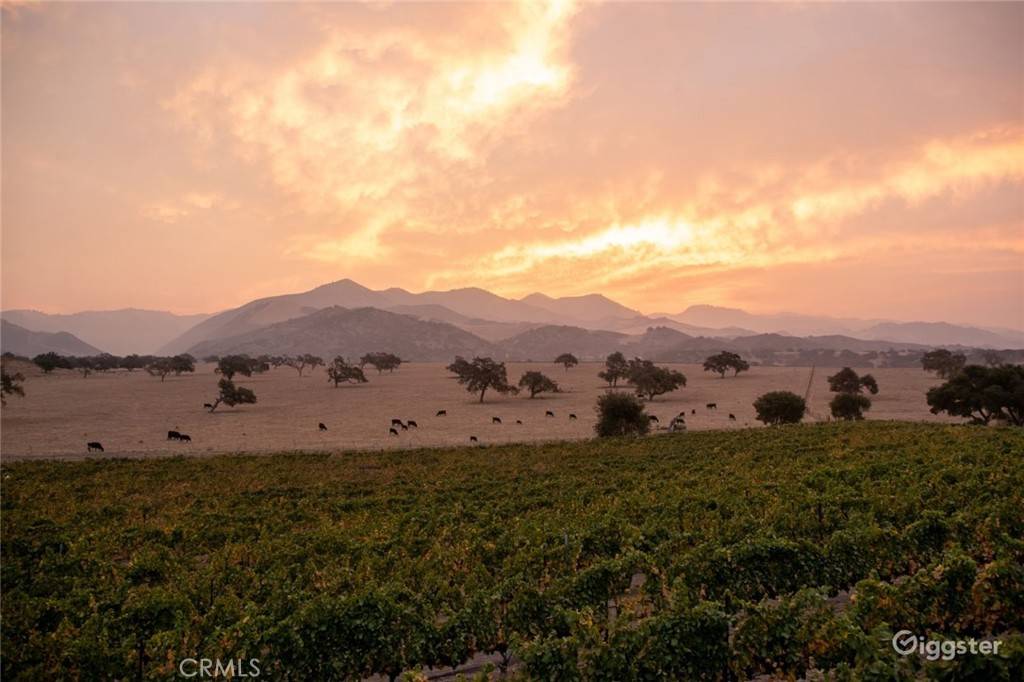 Los Olivos, CA 93441,6893 Foxen Canyon RD