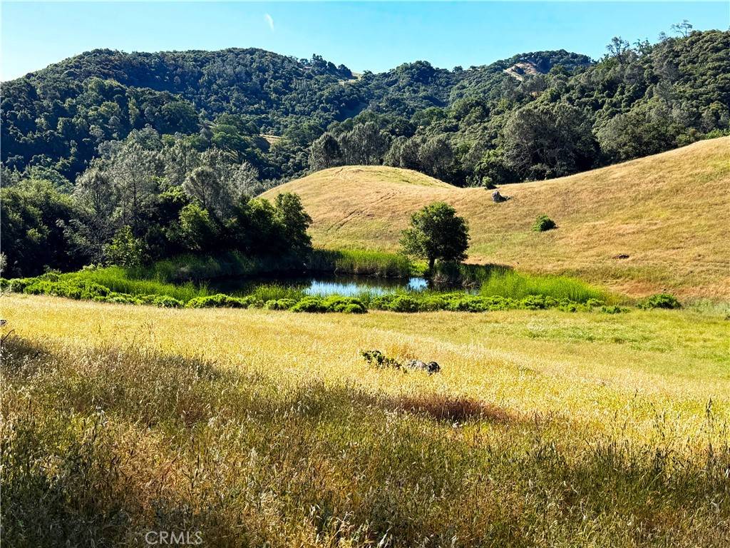 Templeton, CA 93465,0 Cypress Mountain DR