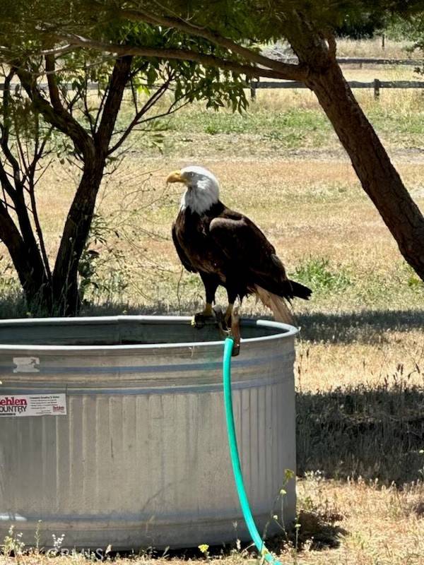 Bradley, CA 93426,0 Interlake RD