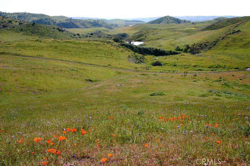 Cholame, CA 93461,0 Highway 41