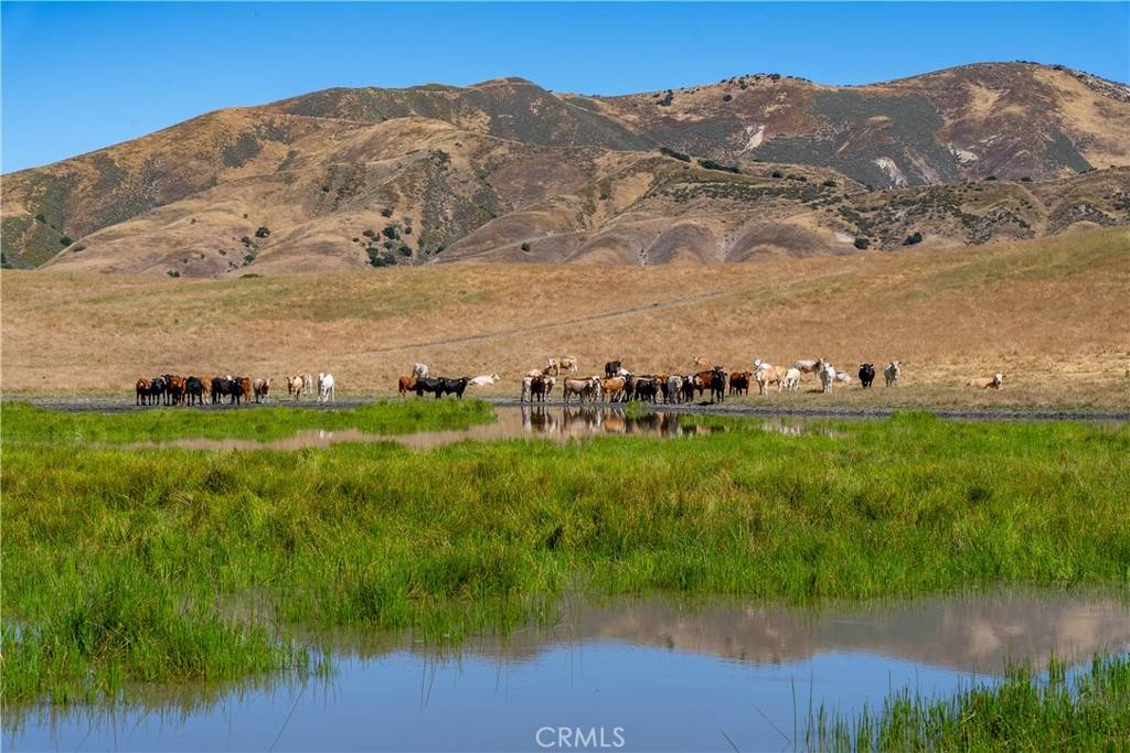 Greenfield, CA 93927,48400 Reliz Canyon RD