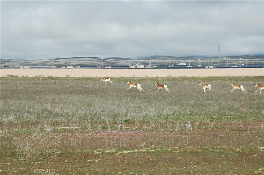 California Valley, CA 93453,0 Arrow Bear TRL