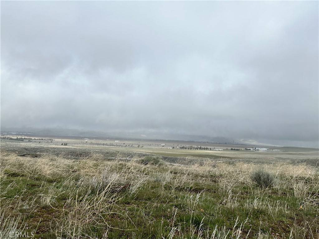 Tehachapi, CA 93561,0 Dotty CT