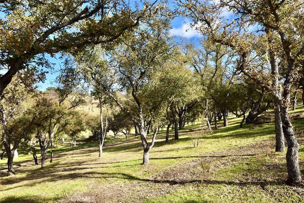 Bradley, CA 93426,54518 Bradley-Lockwood RD