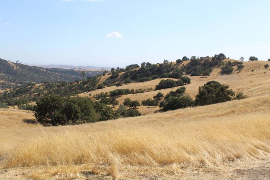 San Miguel, CA 93451,71902 Vineyard Canyon RD