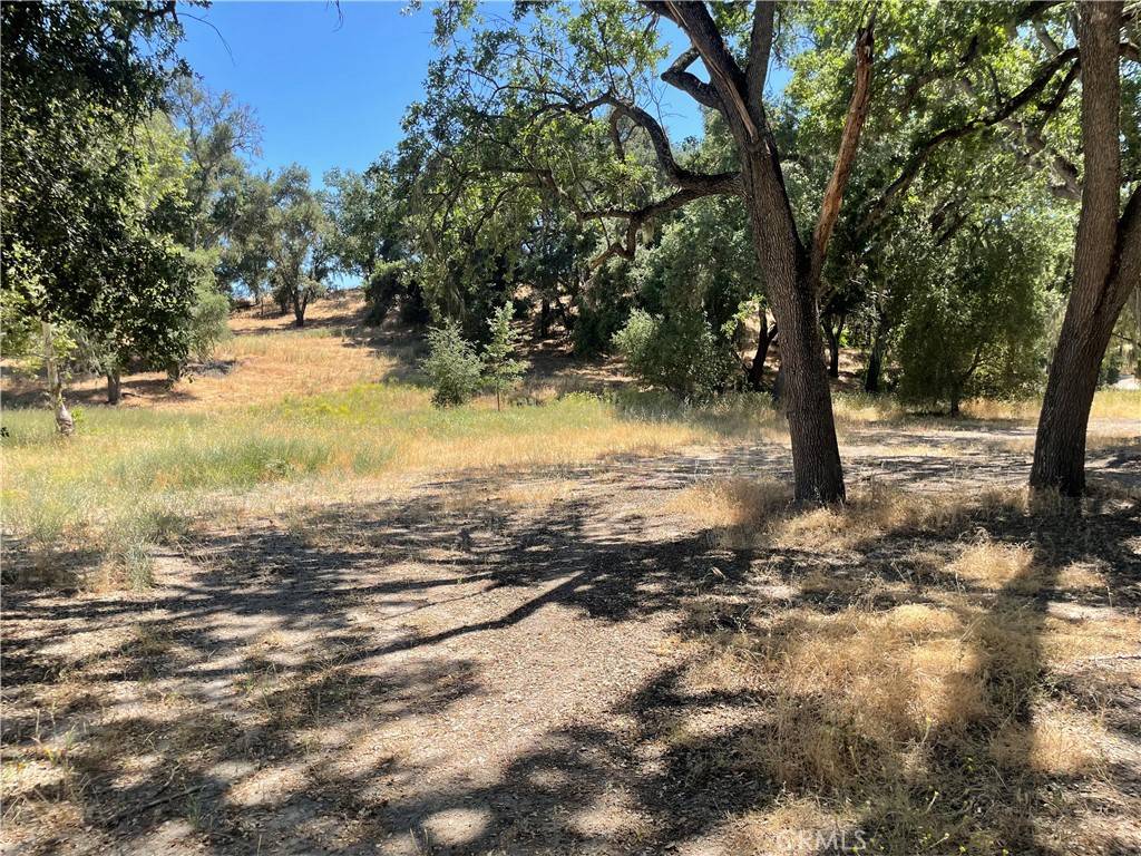 Templeton, CA 93465,8 Championship LN