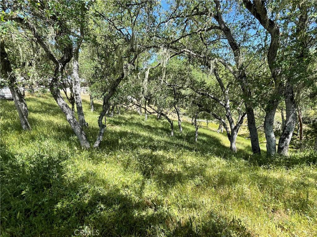 Bradley, CA 93426,2532 Anchor CIR