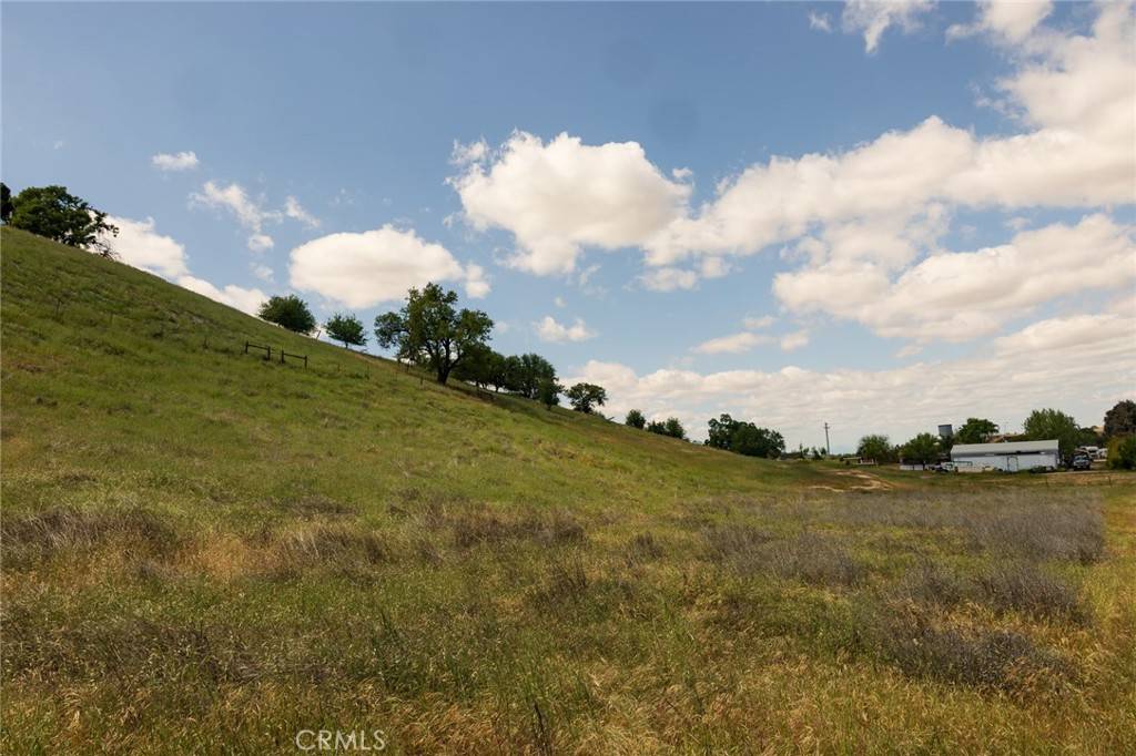 Paso Robles, CA 93446,48 Blue Moon