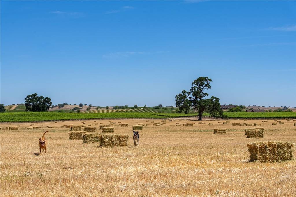 Paso Robles, CA 93446,5275 Camp 8 RD