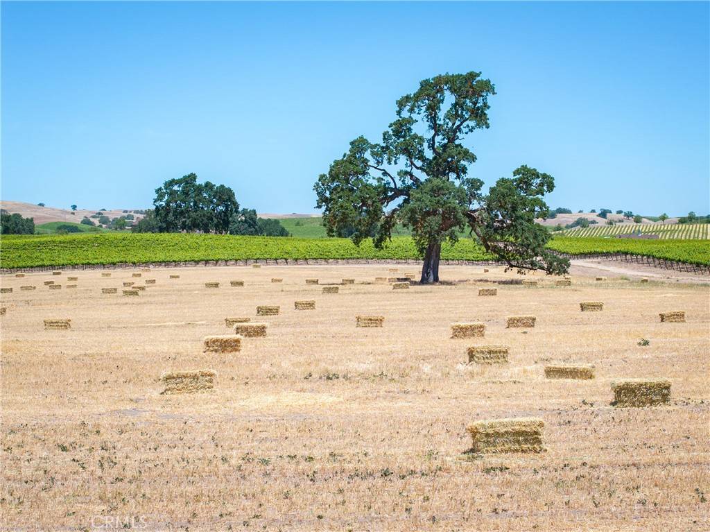 Paso Robles, CA 93446,5275 Camp 8 RD
