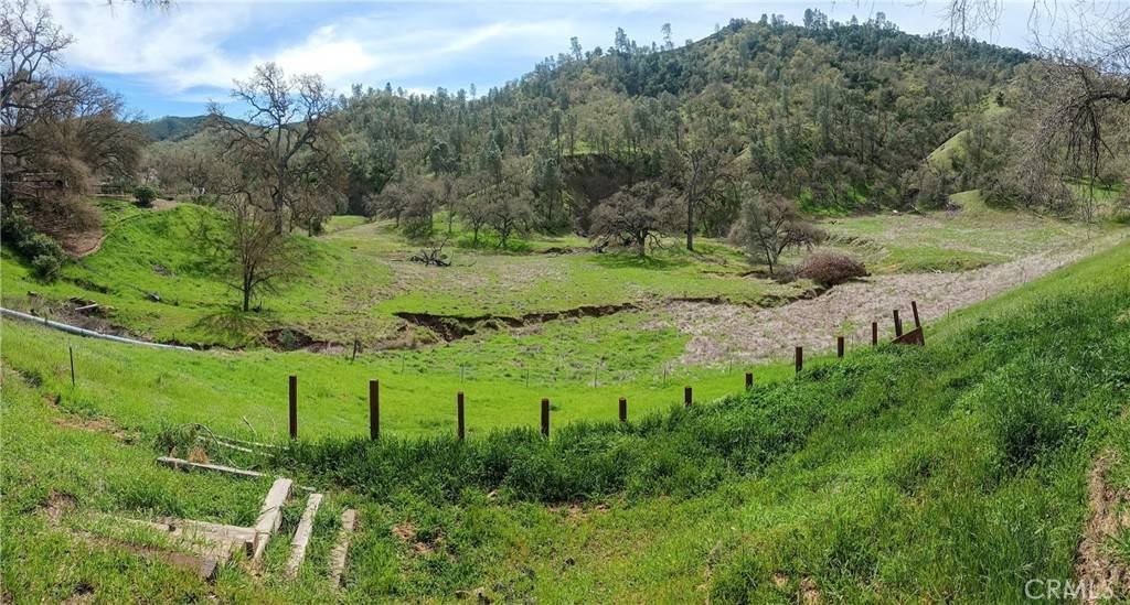 Paso Robles, CA 93446,2822 Black Horse LN