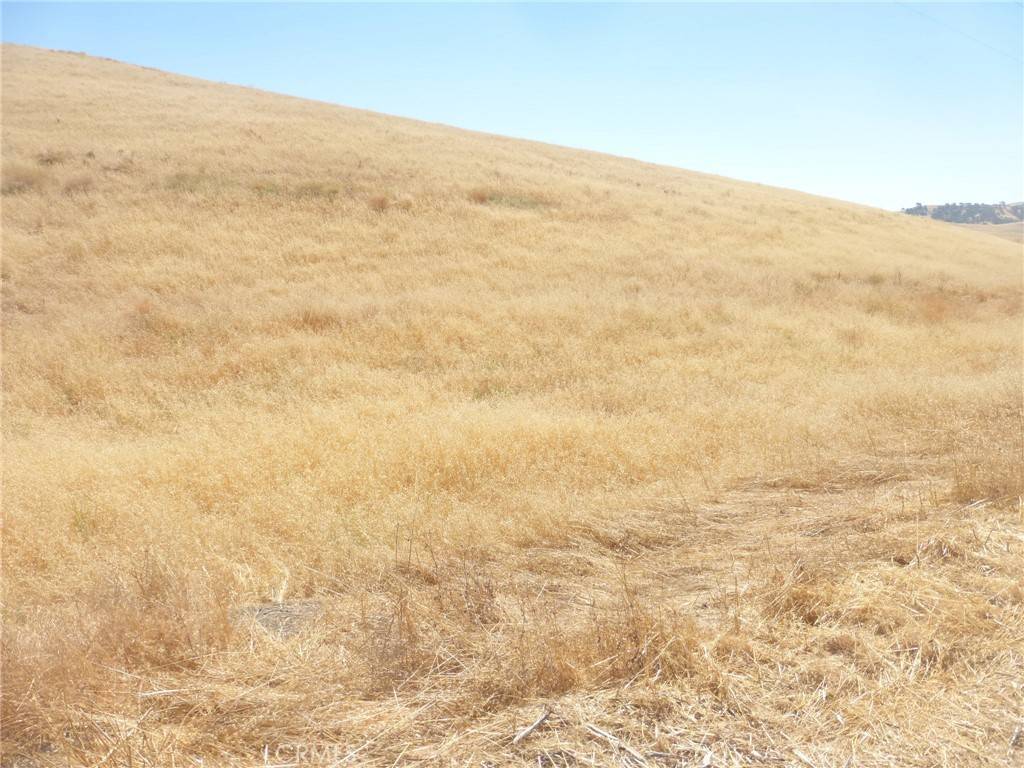 San Miguel, CA 93451,0 Douglas Rd. (Lot 41)