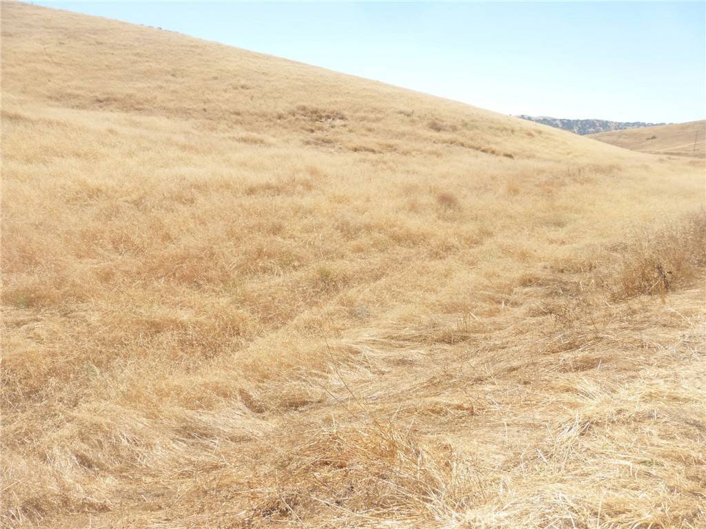 San Miguel, CA 93451,0 Douglas Rd. (Lot 42)