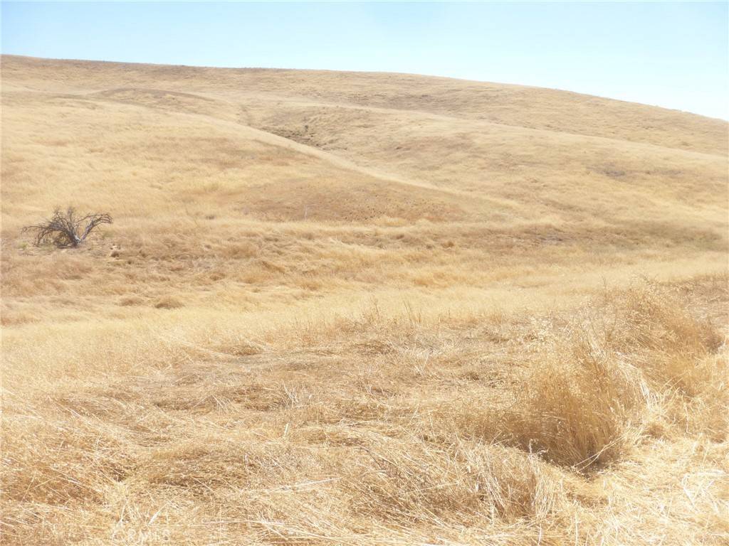 San Miguel, CA 93451,0 Douglas Rd. (Lot 43)