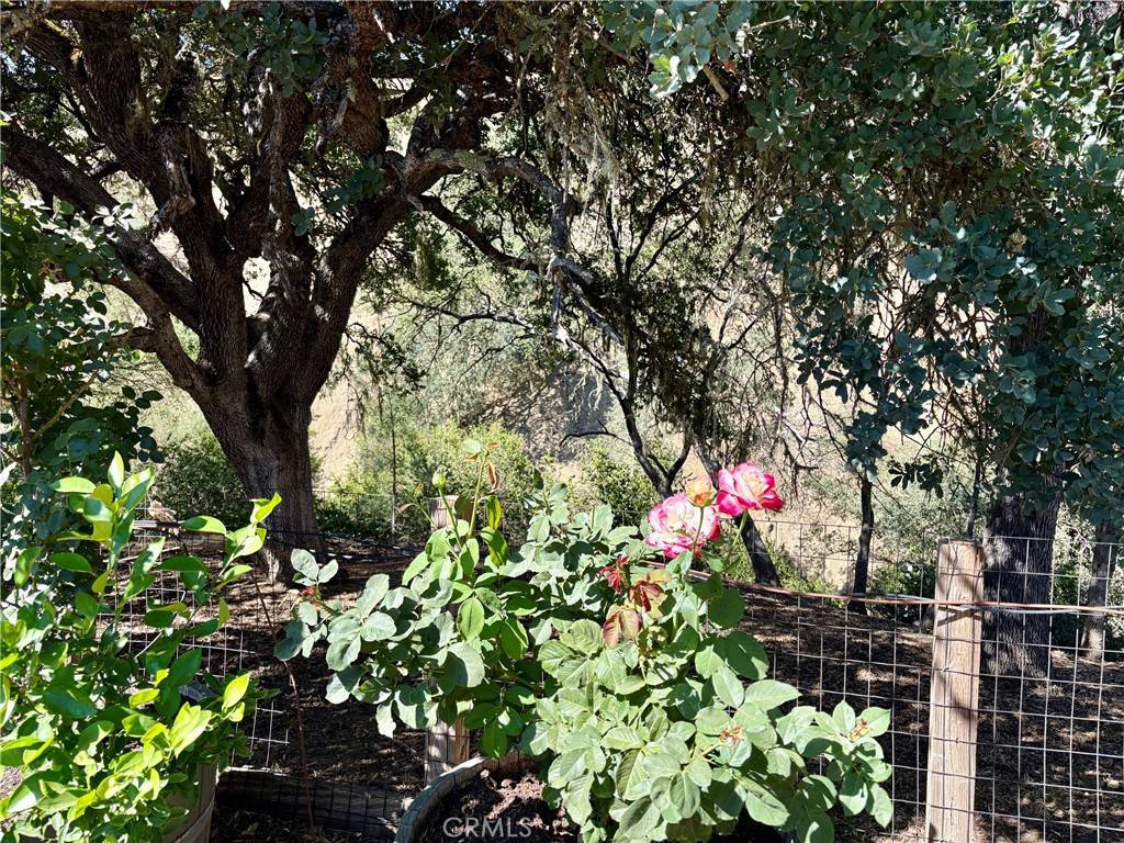 Paso Robles, CA 93446,4276 Skylink LN
