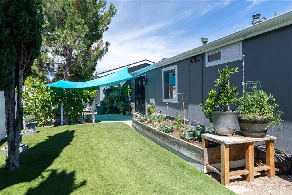 Paso Robles, CA 93446,6 Pheasant CT