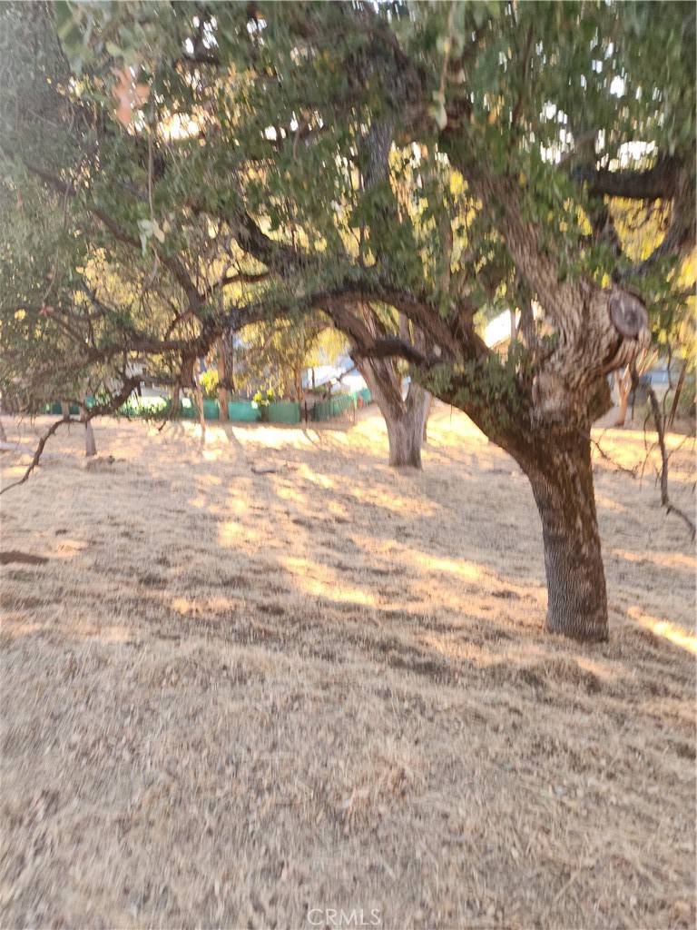 Bradley, CA 93426,2623 Crows Nest