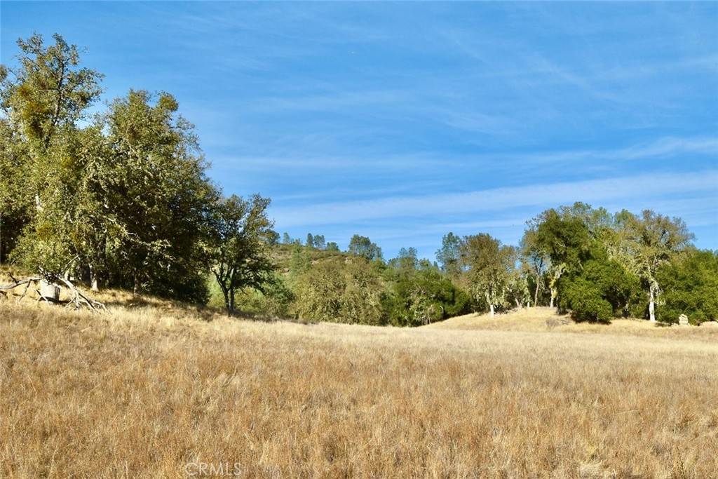 Bradley, CA 93426,47811 Sapaque Valley