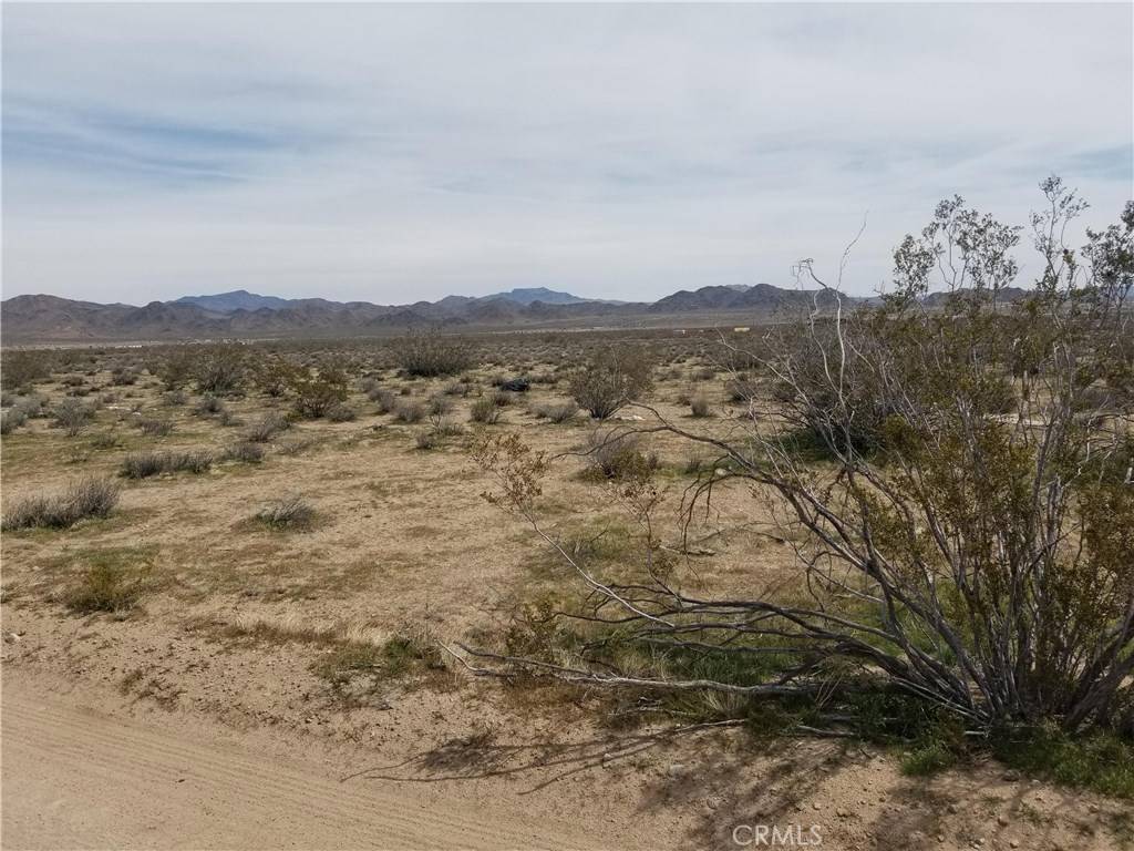 Lucerne Valley, CA 92635,34558 Cattleman