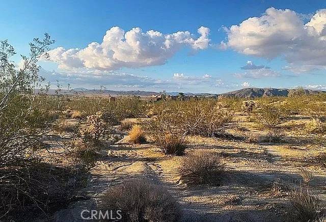 Joshua Tree, CA 92252,66058 Foothill DR
