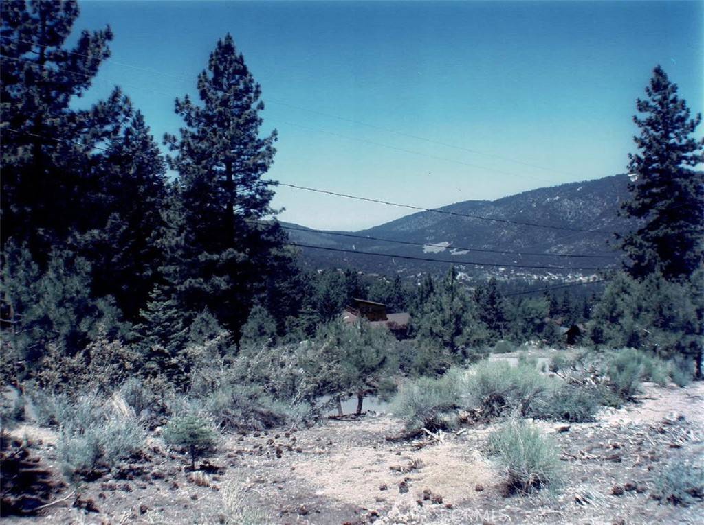 Pine Mountain Club, CA 93222,15125 Chestnut DR