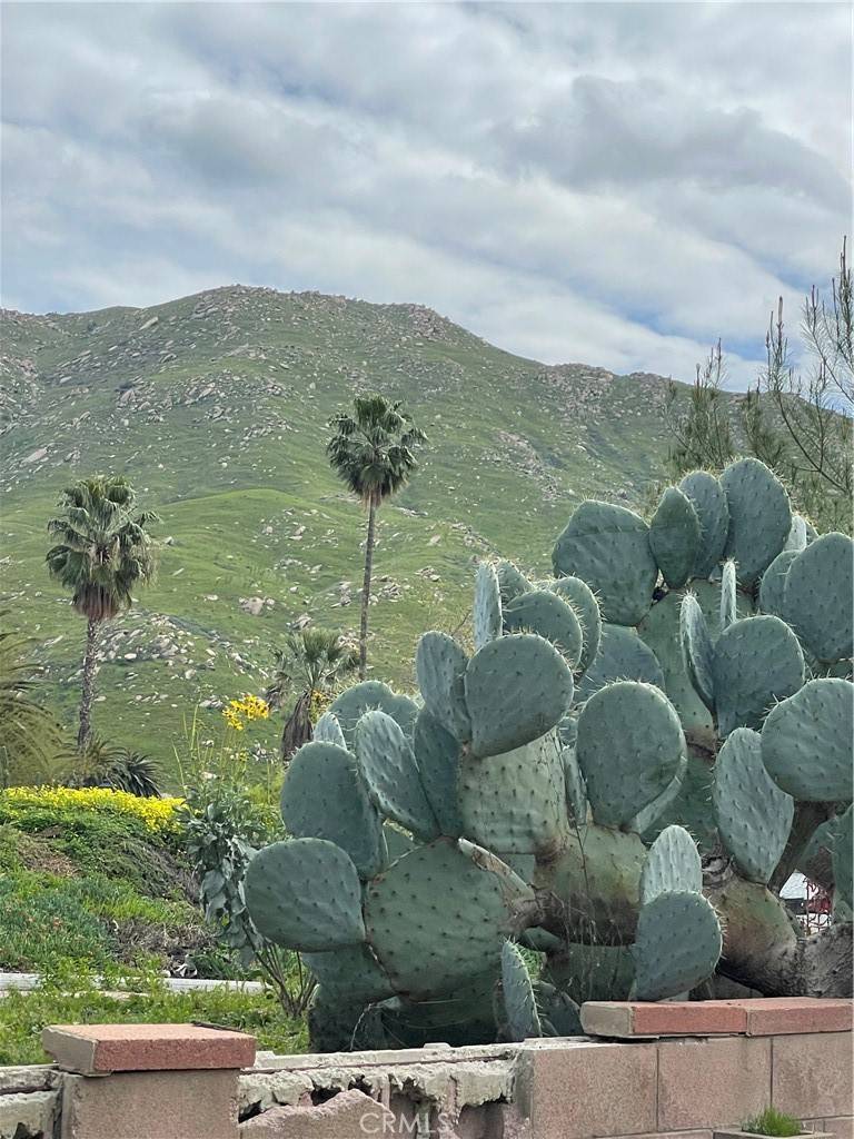 Riverside, CA 92507,2953 Floral AVE