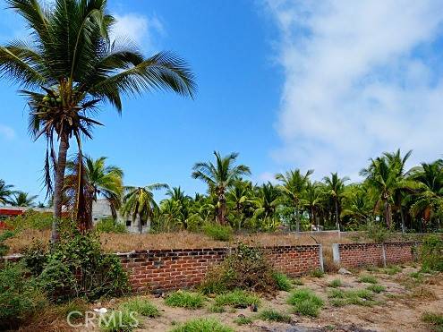Outside Area (outside Ca), 48869,12 Perla
