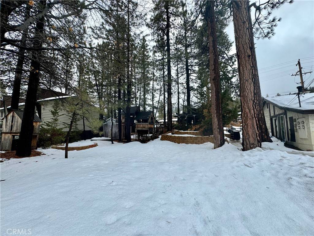 Big Bear Lake, CA 92315,41763 Switzerland DR