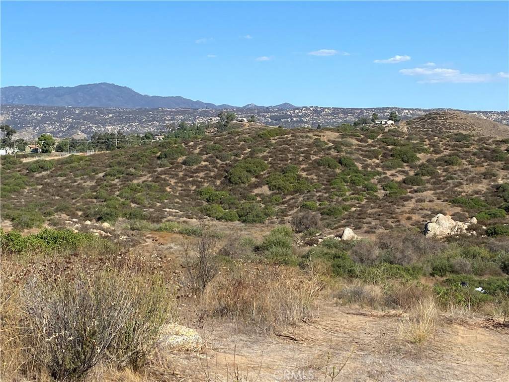 Hemet, CA 92544,10 Gray Squirrel Lot 10