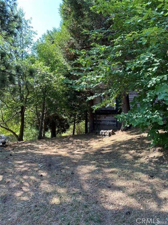 Cedarpines Park, CA 92322,0 Pine DR