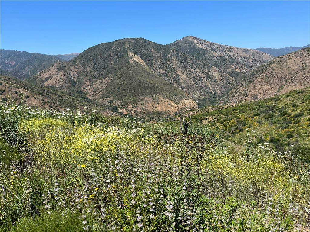 Silverado Canyon, CA 92676,10 Williams Canyon RD