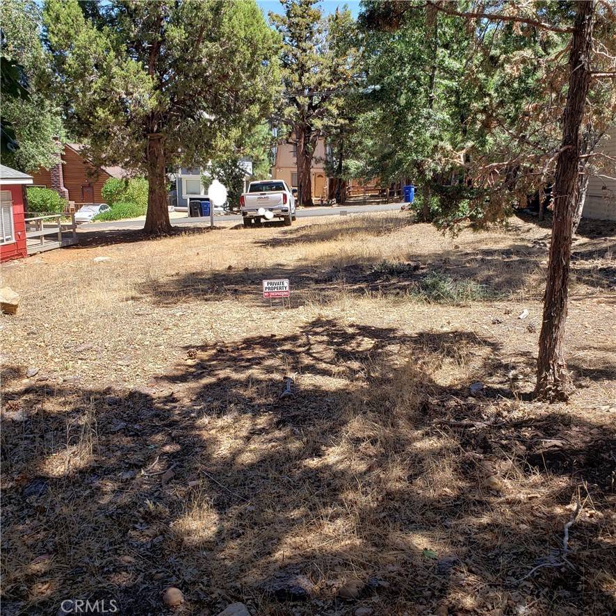 Sugarloaf, CA 92386,864 San Bernardino AVE